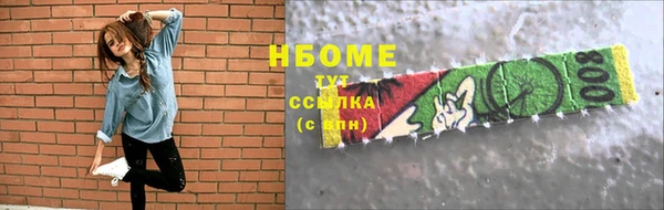 мдпв Бородино