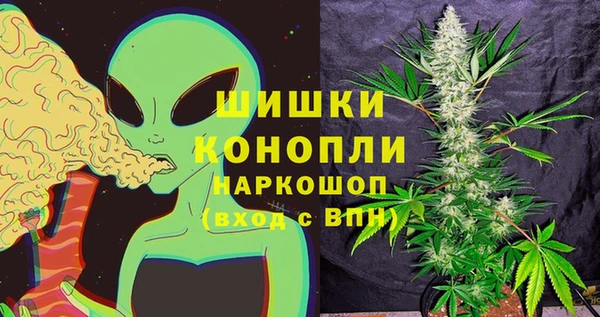 хмурый Бронницы