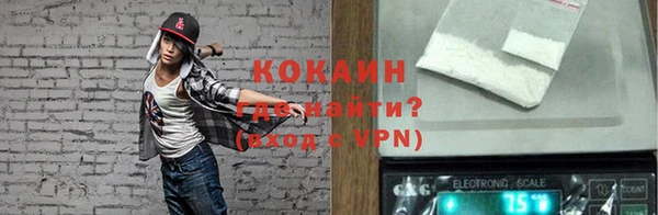 мдпв Бородино