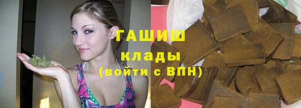 мдпв Бородино