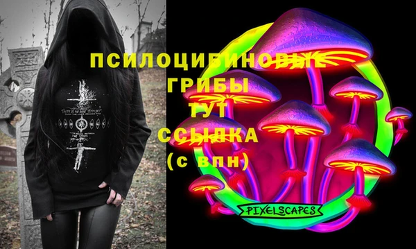 хмурый Бронницы