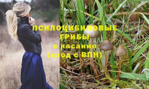 хмурый Бронницы