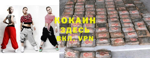 мдпв Бородино