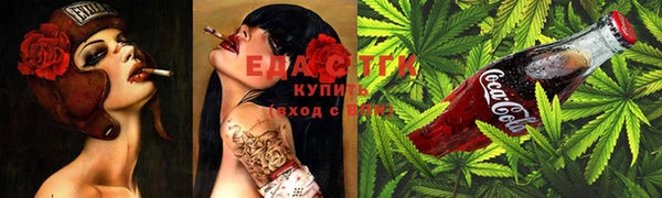 мдпв Бородино