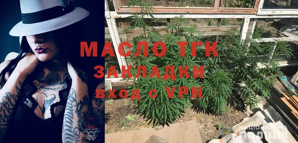 мдпв Бородино