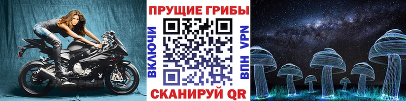 блэк спрут как войти  Гусев  Псилоцибиновые грибы Magic Shrooms  площадка Telegram  как найти закладки 